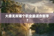 大唐无双哪个职业最适合新手？