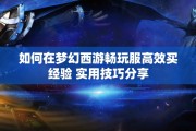 如何在梦幻西游畅玩服高效买经验 实用技巧分享