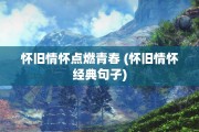 怀旧情怀点燃青春 (怀旧情怀经典句子)