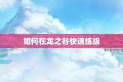 如何在龙之谷快速练级