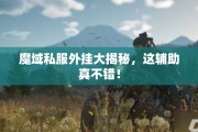 魔域私服外挂大揭秘，这辅助真不错！