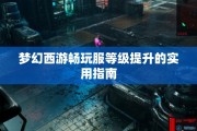 梦幻西游畅玩服等级提升的实用指南