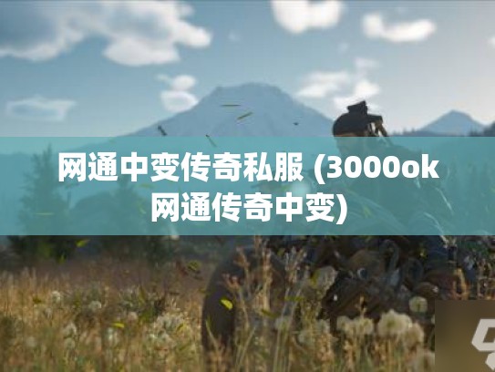 网通中变传奇私服 (3000ok网通传奇中变)