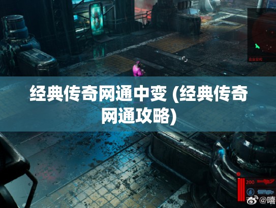 经典传奇网通中变 (经典传奇网通攻略)