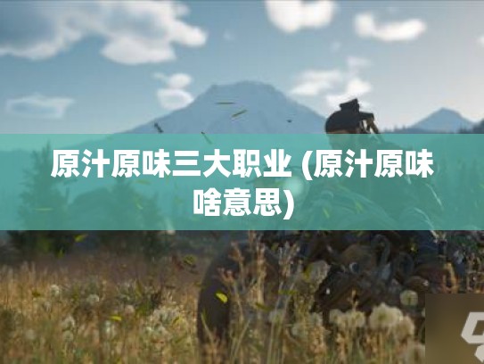 原汁原味三大职业 (原汁原味啥意思)