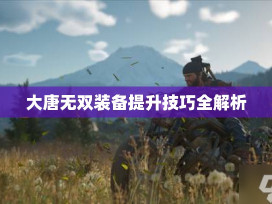 大唐无双装备提升技巧全解析