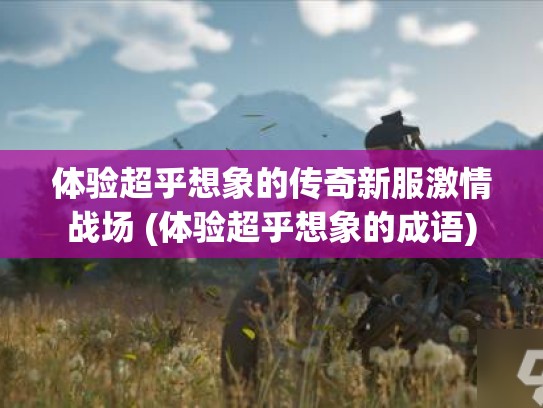 体验超乎想象的传奇新服激情战场 (体验超乎想象的成语)