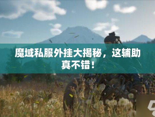 魔域私服外挂大揭秘，这辅助真不错！