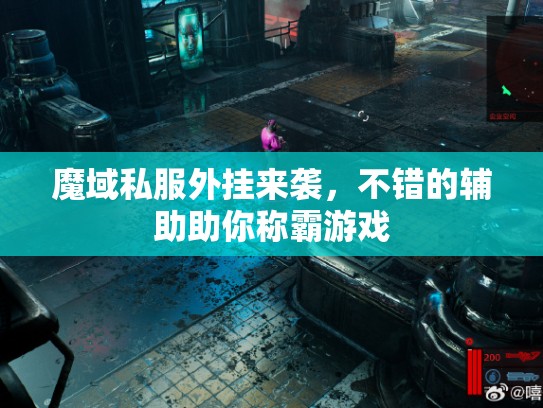 魔域私服外挂来袭，不错的辅助助你称霸游戏