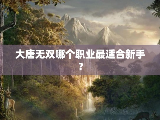 大唐无双哪个职业最适合新手？