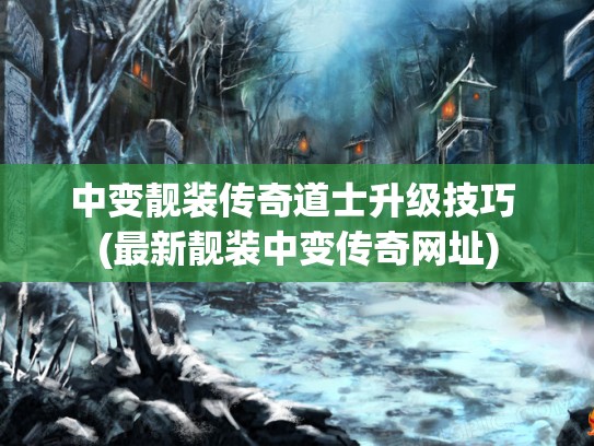 中变靓装传奇道士升级技巧 (最新靓装中变传奇网址)