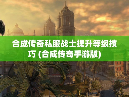 合成传奇私服战士提升等级技巧 (合成传奇手游版)