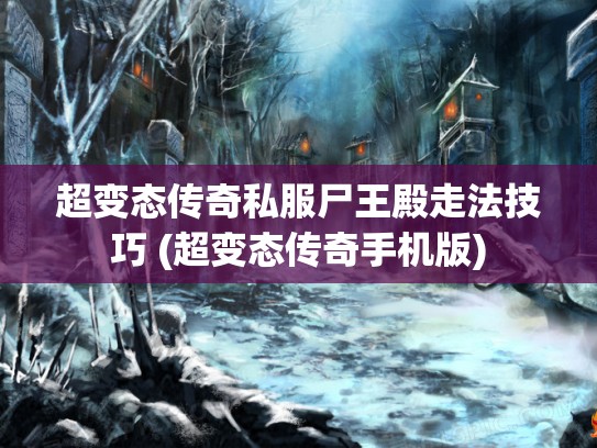 超变态传奇私服尸王殿走法技巧 (超变态传奇手机版)