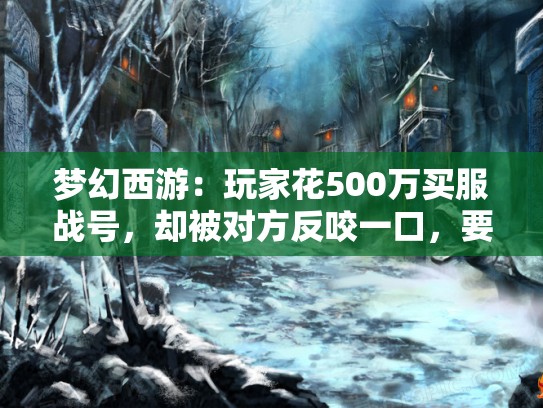 梦幻西游:玩家花500万买服战号,却被对方反咬一口,要求退款 梦幻西游:玩家花500万买服战号,却被对方反咬一口,要求退款