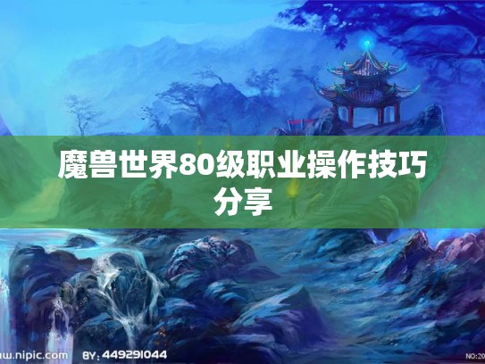 魔兽世界80级职业操作技巧分享