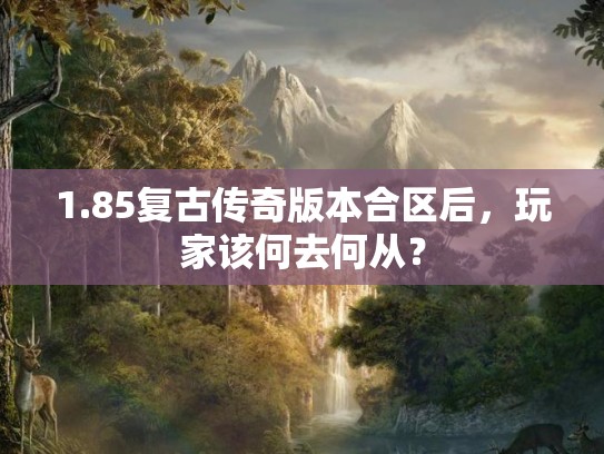 1.85复古传奇版本合区后，玩家该何去何从？