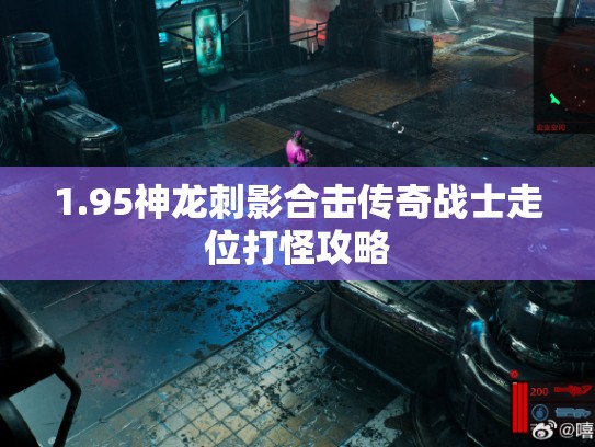 1.95神龙刺影合击传奇战士走位打怪攻略 1.95神龙刺影合击传奇战士走位打怪攻略