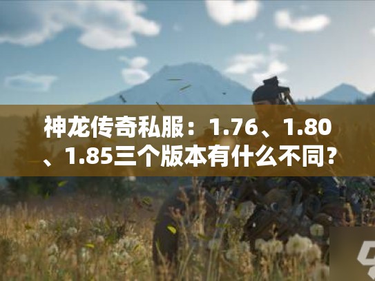 神龙传奇私服：1.76、1.80、1.85三个版本有什么不同？