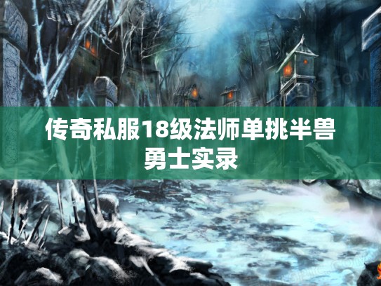 传奇私服18级法师单挑半兽勇士实录