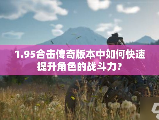 1.95合击传奇版本中如何快速提升角色的战斗力? 1.95合击传奇版本中如何快速提升角色的战斗力?
