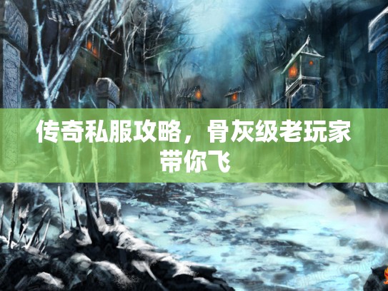 传奇私服攻略,骨灰级老玩家带你飞 传奇私服攻略,骨灰级老玩家带你飞