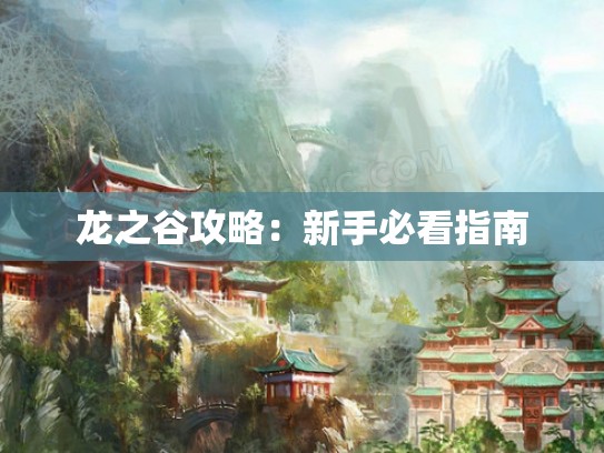龙之谷攻略：新手必看指南