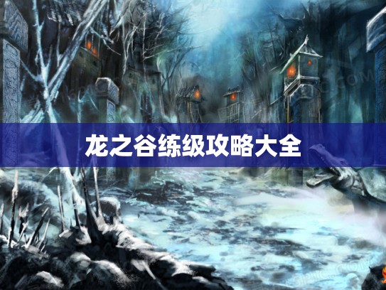 龙之谷练级攻略大全