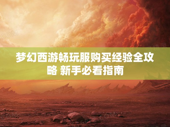 梦幻西游畅玩服购买经验全攻略 新手必看指南