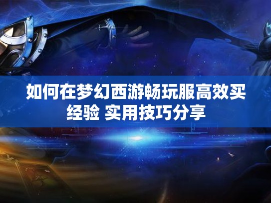 如何在梦幻西游畅玩服高效买经验 实用技巧分享