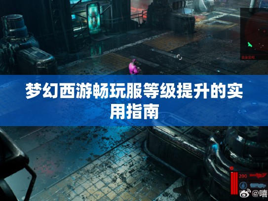 梦幻西游畅玩服等级提升的实用指南